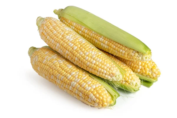 Ucho Kukuřice Izolované Bílém Pozadí — Stock fotografie
