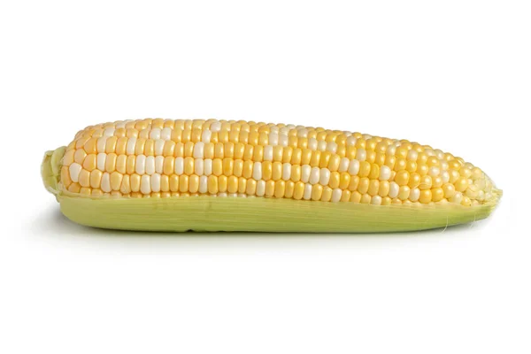Ухо Кукурузы Изолированы Белом Фоне — стоковое фото