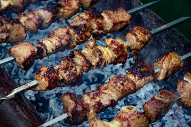 Kömür mangal üzerinde domuz shashlik hazırlanması. Domuz ızgarası, domuz shashlik. Marine shashlik kömür üzerinde bir barbekü ızgara hazırlanıyor.