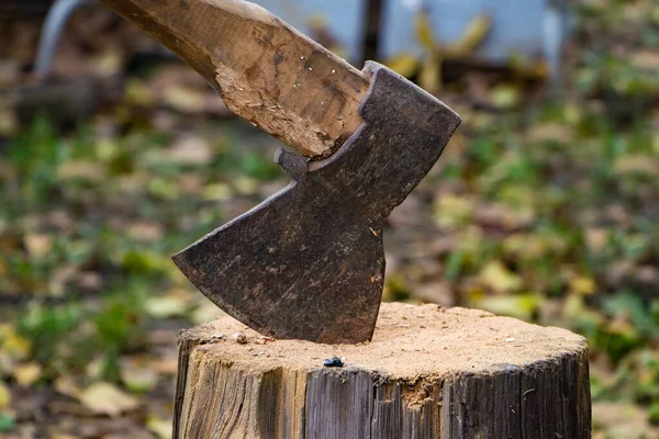 Beil Stumpf Axt Bereit Für Den Holzeinschlag Holzbearbeitungswerkzeug Holzfäller Axt — Stockfoto