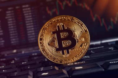 Bitcoinler ve sanal para konsepti. Şifreleme parasının büyüyen ve azalan değerinin grafiği olan madeni paraların üzerindeki altın bitsikkeler. Madencilik ya da engelleme teknolojisi