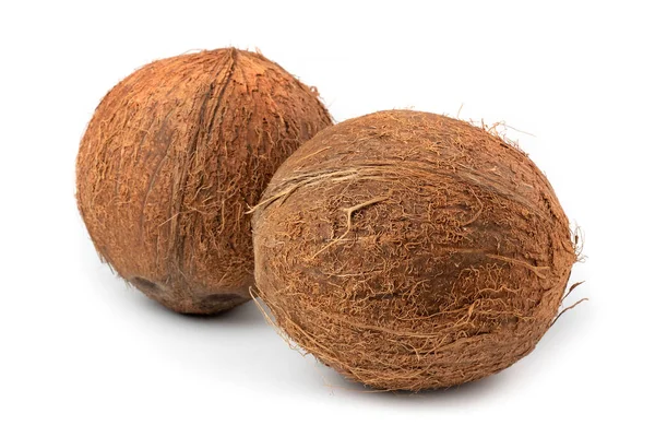 Kokosnöt Isolerad Vit Bakgrund Tropiska Frukter — Stockfoto