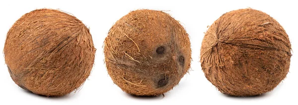 Ställ Kokosnötter Isolerade Vit Bakgrund Insamling — Stockfoto
