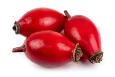 Beyaz bir arkaplanda gül kalça izole.