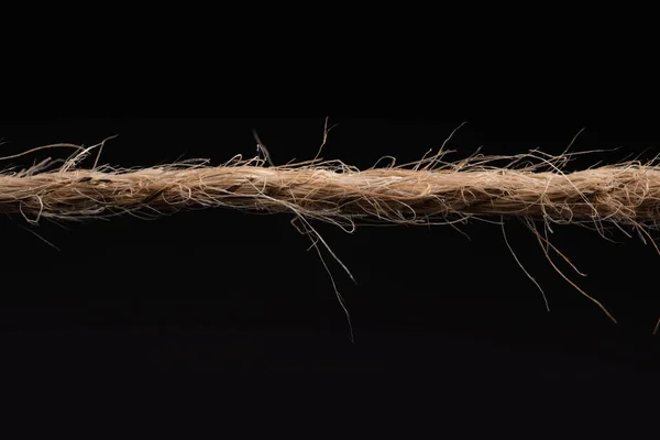 Siyah Arkaplanda Uzun Kahverengi — Stok fotoğraf