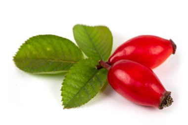 Rosehip beyaz arka planda izole edilmiş. Yapraklı taze çiğ yaban mersini.