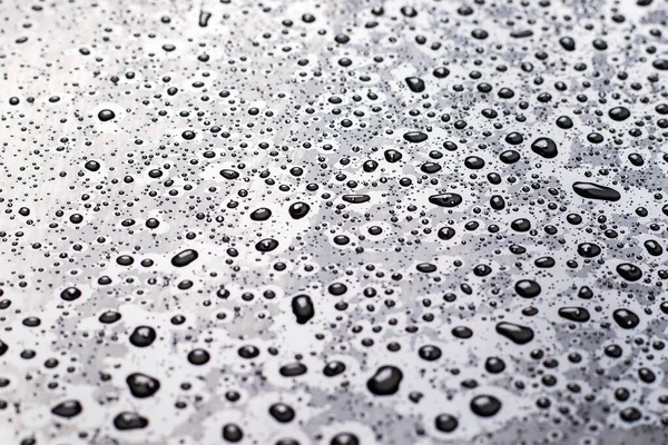 Drops Water Repellent Surface Black White — Stock Photo, Image