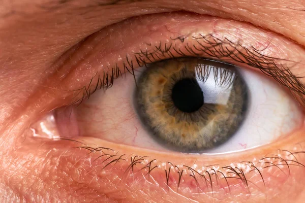 İnsan gözünün yakın çekimi. İnsan gözü ışığa tepki veren ve görüşe izin veren bir duyu organıdır..