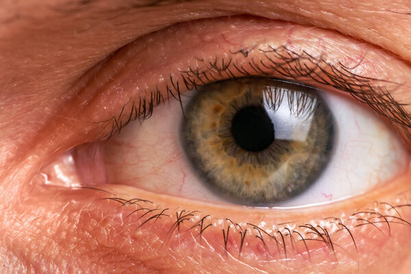 Крупный план человеческого глаза. Человеческий глаз парный орган чувств, который реагирует на свет и позволяет зрение.