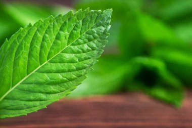 Ahşap masa fotokopi alanında taze nane. Seçici odak.