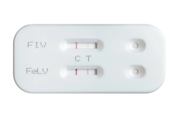 Kit Pruebas Para Virus Leucemia Felina Virus Inmunodeficiencia Con Resultado — Foto de Stock