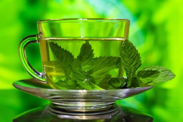 Cups of tea with fresh mint on green background.
