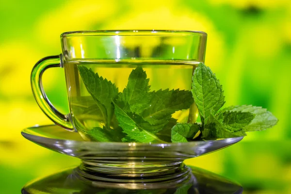 Cups of tea with fresh mint on green yellow background.