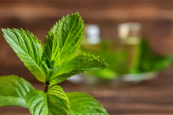 Fresh mint leaves on the wooden background and cup of tea with mint.