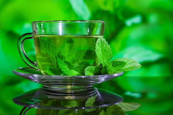 Cups of tea with fresh mint on green background.