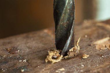 Metal matkap ucu, tahta meşe kalaslarında delikler açar..