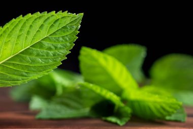 Ahşap masa fotokopi alanında taze nane. Seçici odak.