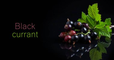 Siyah frenk üzümü ve siyah arka plan yaprakları..