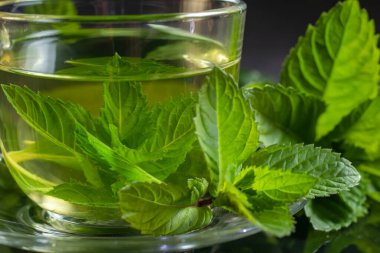 Yakın plan nane çayı ve taze nane yaprağı..