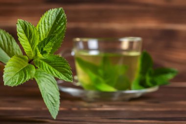 Bir fincan naneli çayın arka planında taze nane yaprakları var.,