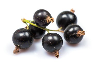 Frenk üzümü beyaz arkaplanda izole edilmiş. Yakın plan..