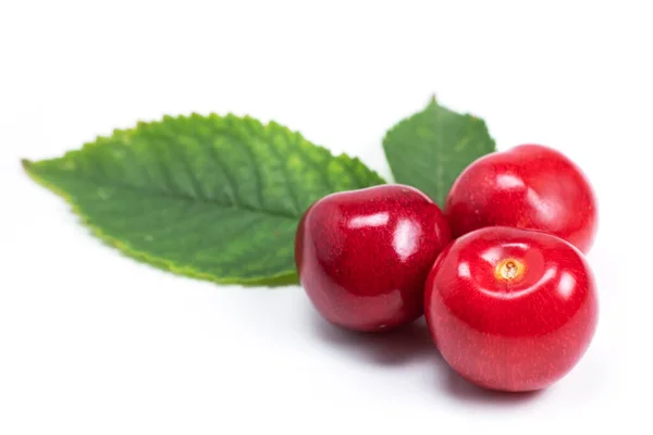 Three Sweet Cherries Cherry Leaf Isolated White Background — Fotografia de Stock