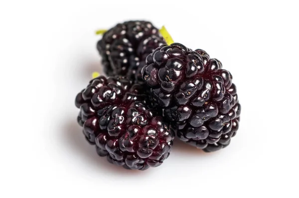 Black Mulberry Isolated White Background Closeup — Stock Photo, Image