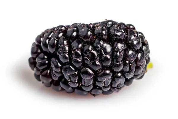 Black Mulberry Isolated White Background Closeup — Stockfoto