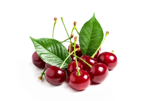 Cherry Isolated Sour Cherry Cherries Leaves White Background Sour Cherries — Stockfoto