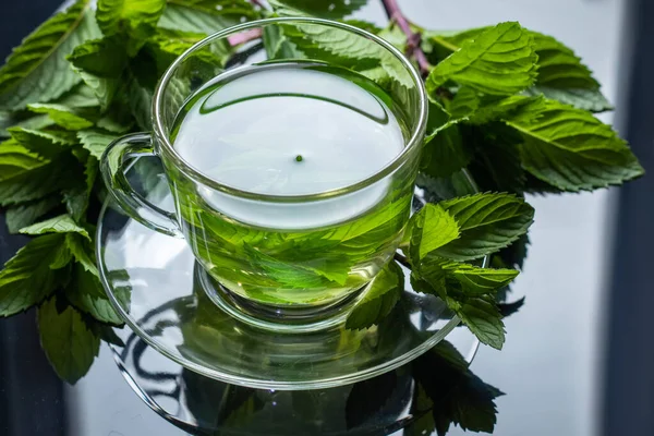 Mint Tea Teh Herbal Daun Mint Daun Mint Teh Dalam — Stok Foto