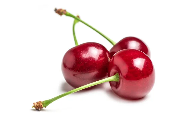 Cherry Isolated Cherries White Background Sour Cherry White Full Depth — ストック写真