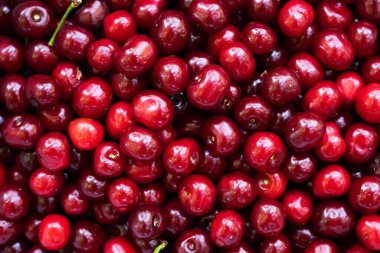 Kiraz arkaplanı. Vişne manzaralı. Ekşi vişneli düz tasarım. Meyve makrosu