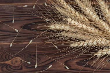 Tahta Masadaki Buğday Kulakları. Ahşap zemin üzerinde buğday yaprağı. Hasat konsepti.