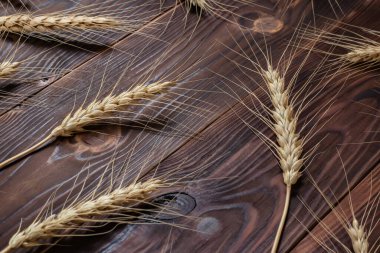 Wheat ears bunch on rustic wooden background