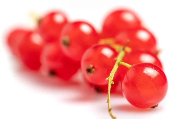 Juicy Red Currant Fresh Red Currant Isolated White Background Close — Stockfoto