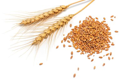 tahıl ve beyaz arka plan üzerinde izole buğday kulaklar. Üstten Görünüm.