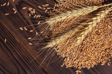 Tahıl ve tahıl dolu olgun kulaklar. Tahta arka planda buğday, çavdar, arpa ve yulaf, üst manzara..