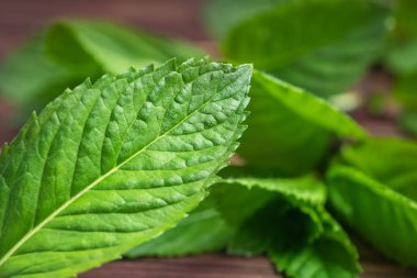 Nane yaprağı. Beyaz arka planda taze nane. Nane yaprakları izole. Tam alan derinliği