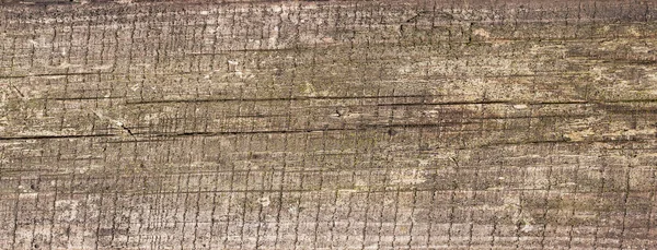 Placa Corte Madeira Marrom Escuro Riscado Textura Madeira — Fotografia de Stock
