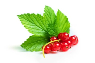 Beyaz arka planda yapraklı kırmızı frenk üzümü..