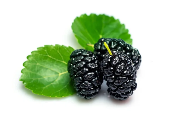 Mulberry Fruits Green Leaves Isolated White Background — Stock Fotó