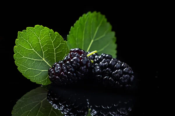 Mulberry Fruits Green Leaves Black Background — Stock Photo, Image
