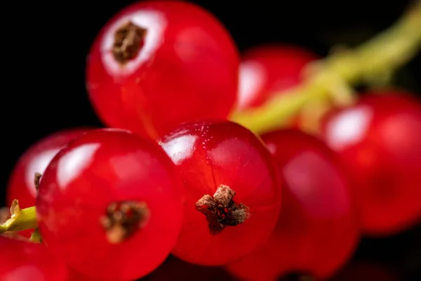 Juicy Red Currant Fresh Red Currant Black Background Close — Stock Photo, Image