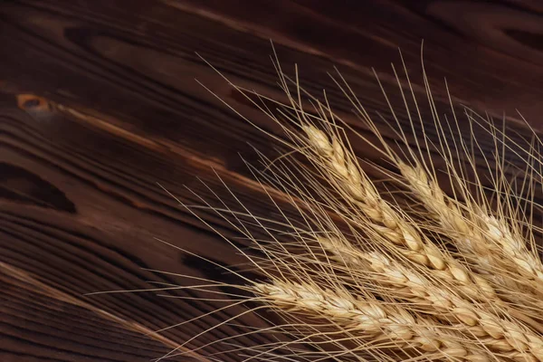 Wheat Ears on the Wooden Table. Sheaf of Wheat over Wood Background. Harvest concept.