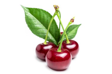 Kiraz izole edilmiş. Ekşi kiraz. Beyaz arka planda yaprakları olan kirazlar. Beyaz üzerine ekşi kiraz.