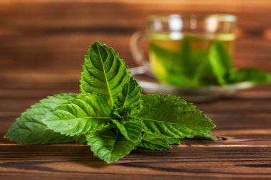 Bir fincan naneli çayın arka planında taze nane yaprakları var.,