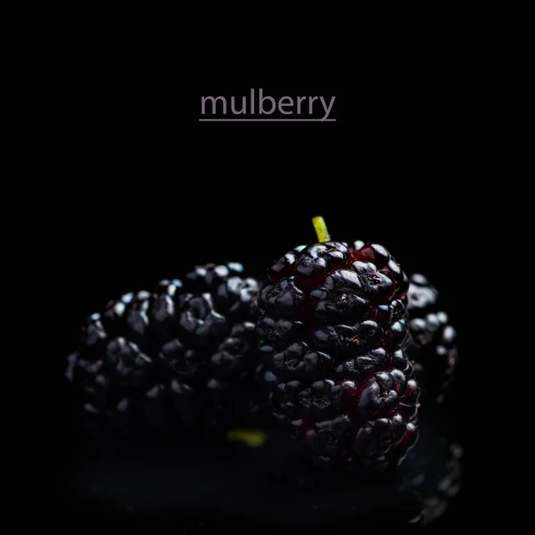 Mulberry berry on black background macro close up.