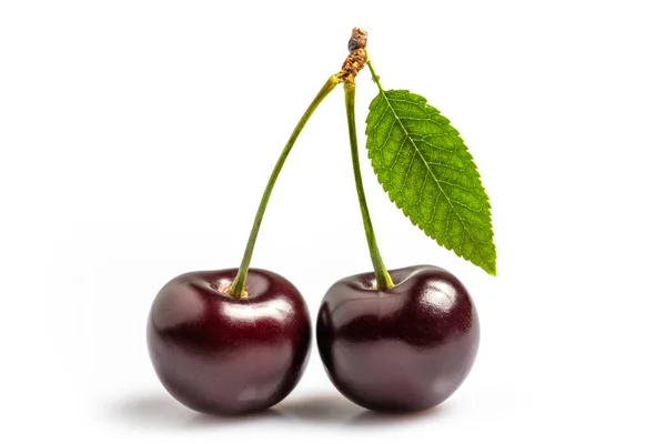 Sweet cherries with cherry leaf isolated on a white background