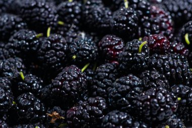Dut arka planı. Taze Mulberryler 'in üst görüntüsü. Siyah Meyveler Geniş Arkaplan.