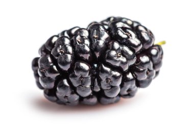 Dut dutu beyaz arka plan makrosu üzerinde izole.